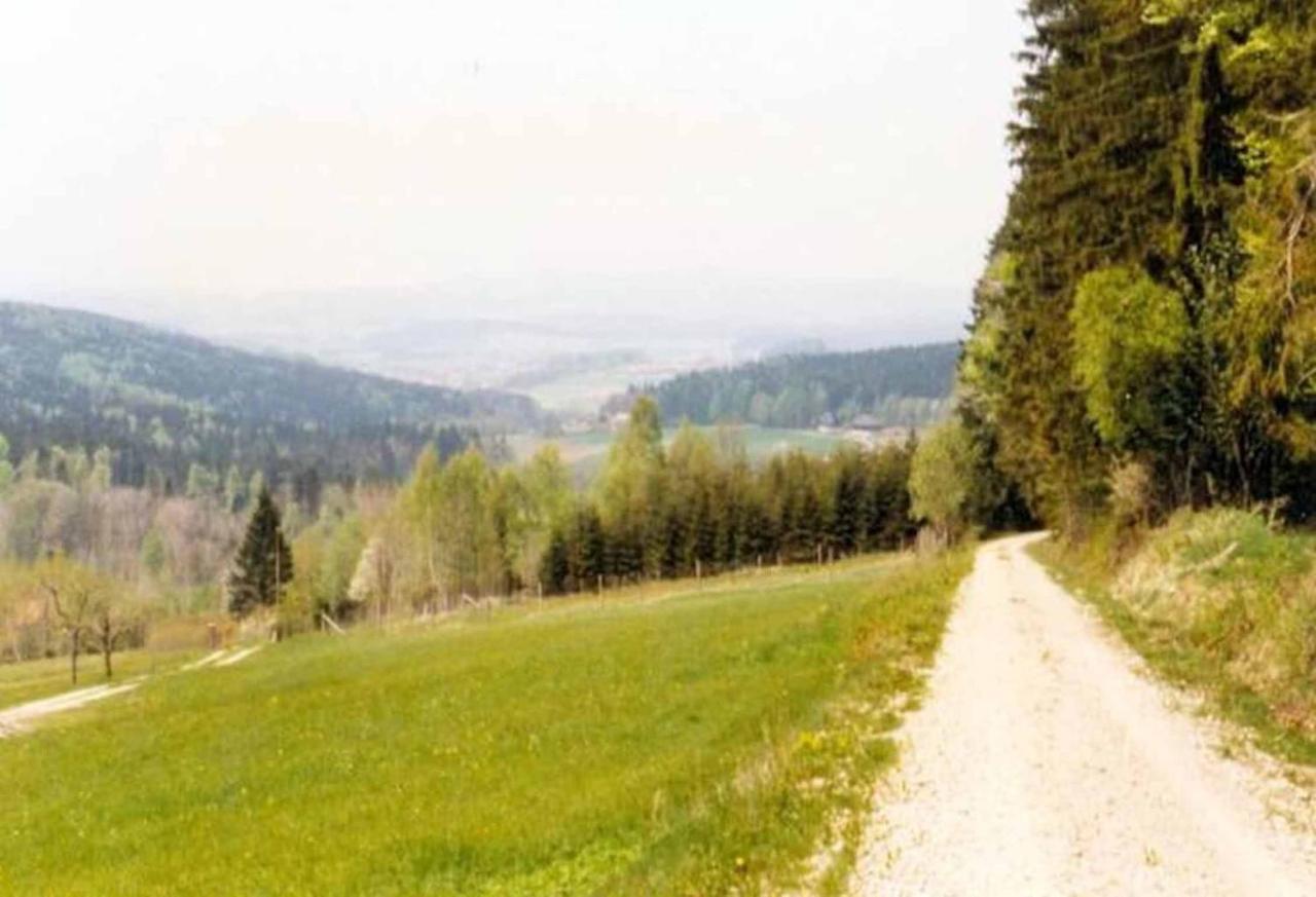 Ferienpension Posthof Waldmünchen Esterno foto